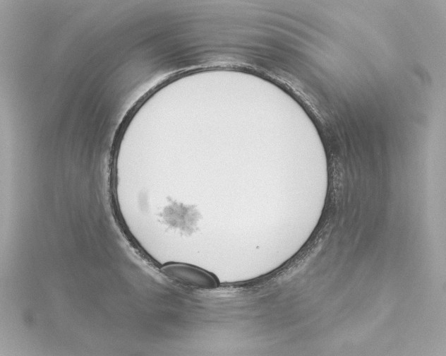 X0000115231134200911271817