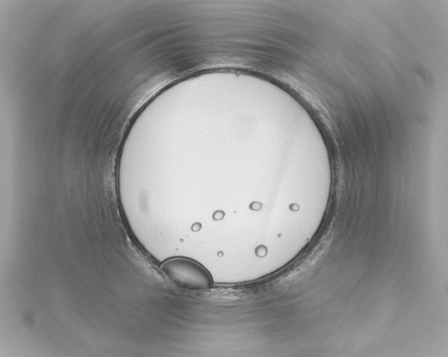 X0000115231137200911271817