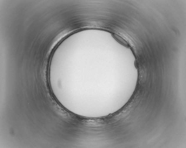 X0000115231138200911271817