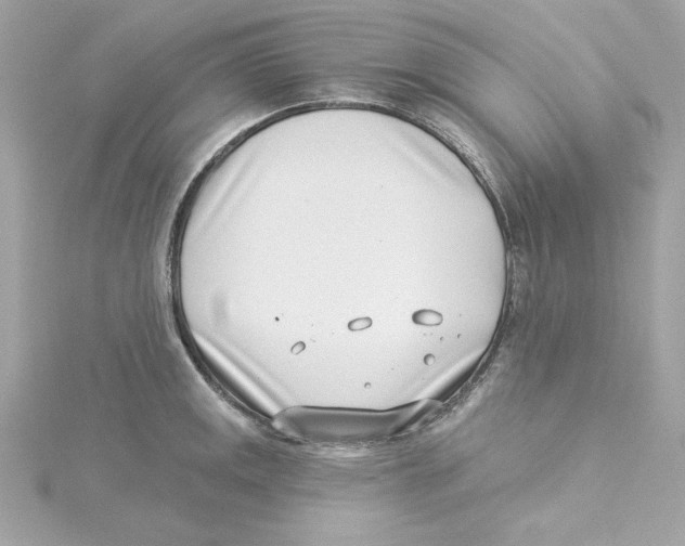 X0000115231141200911271817