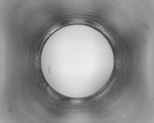 X0000115231145200911271817