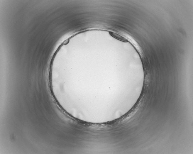 X0000115231146200911271817