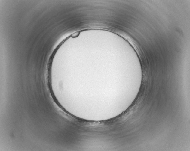 X0000115231147200911271817