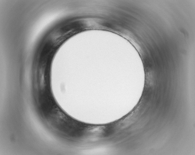 X0000115231150200911271817