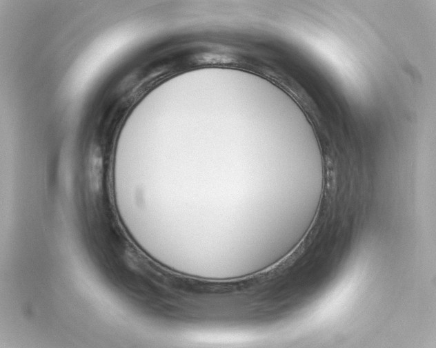 X0000115231151200911271817