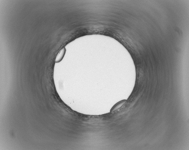 X0000115231153200911271816