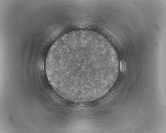 X0000115231155200911271816