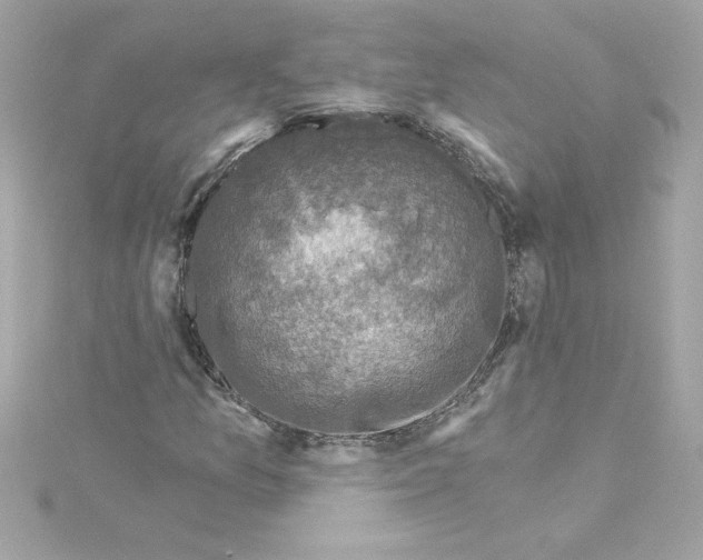 X0000115231157200911271816