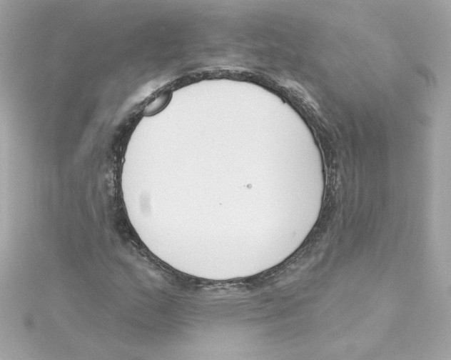 X0000115231159200911271816