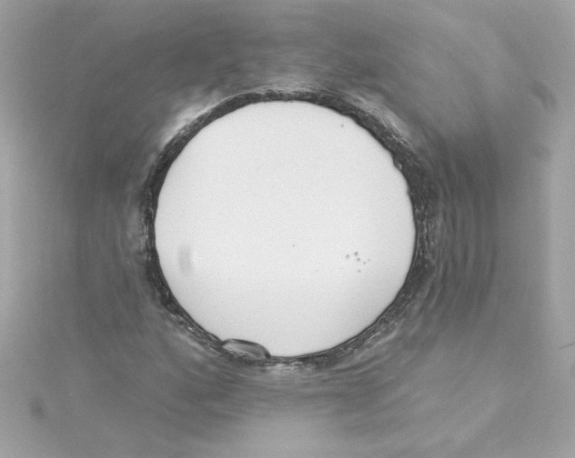 X0000115231160200911271816