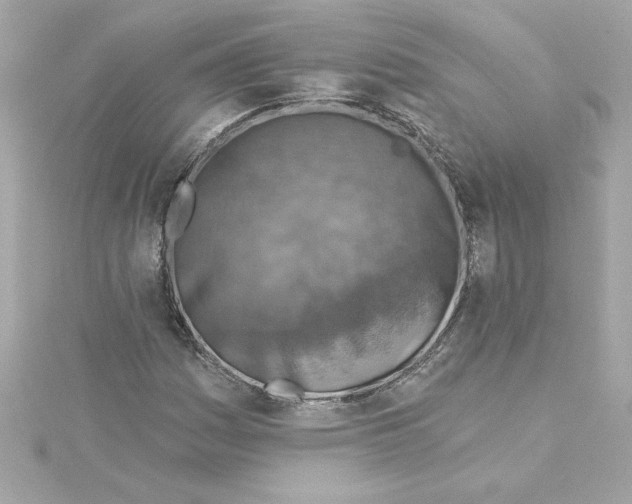 X0000115231161200911271816