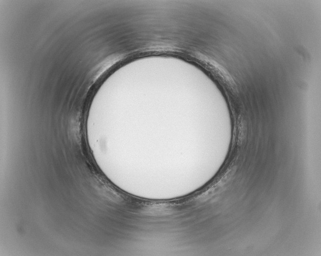 X0000115231162200911271816