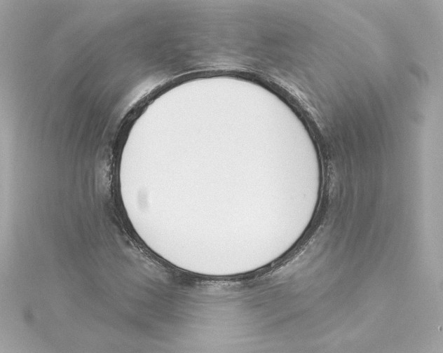 X0000115231163200911271816