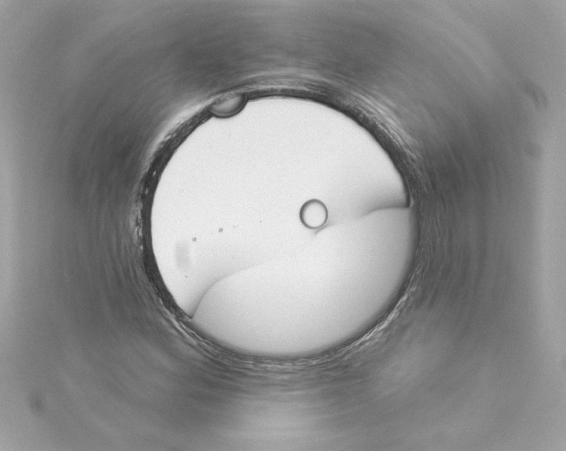 X0000115231164200911271816