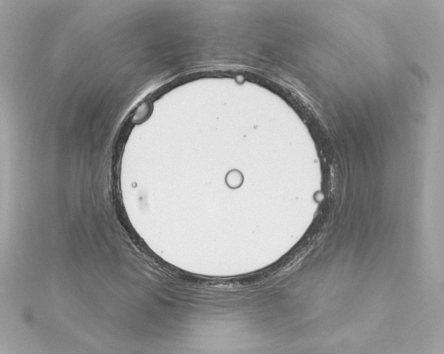 X0000115231165200911271816