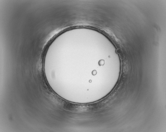 X0000115231167200911271816