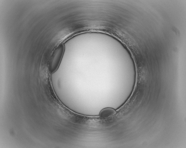 X0000115231169200911271816