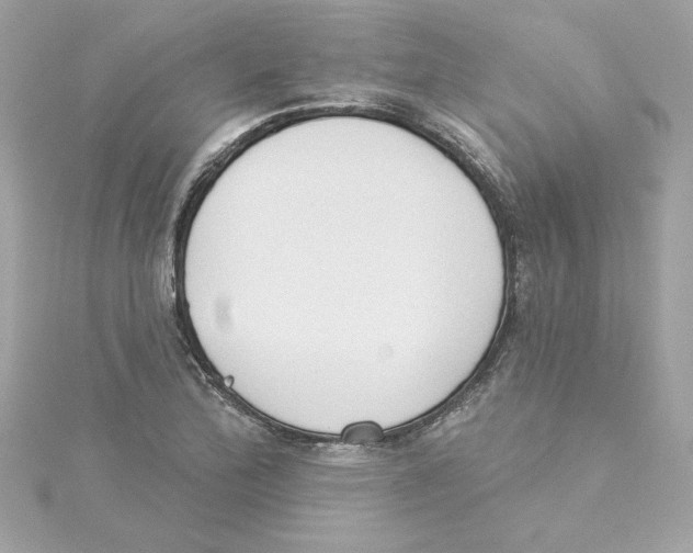 X0000115231172200911271816