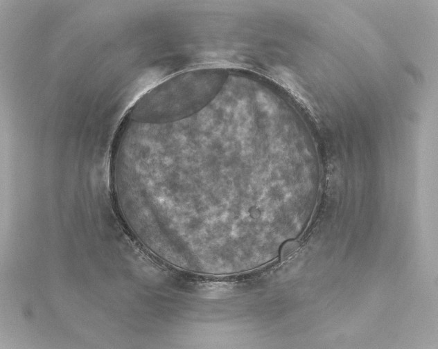 X0000115231173200911271816