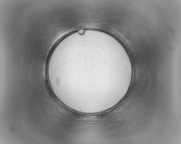 X0000115231174200911271816