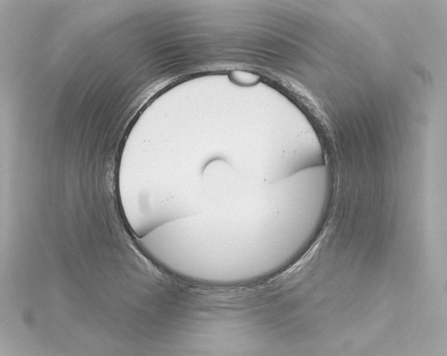 X0000115231177200911271816