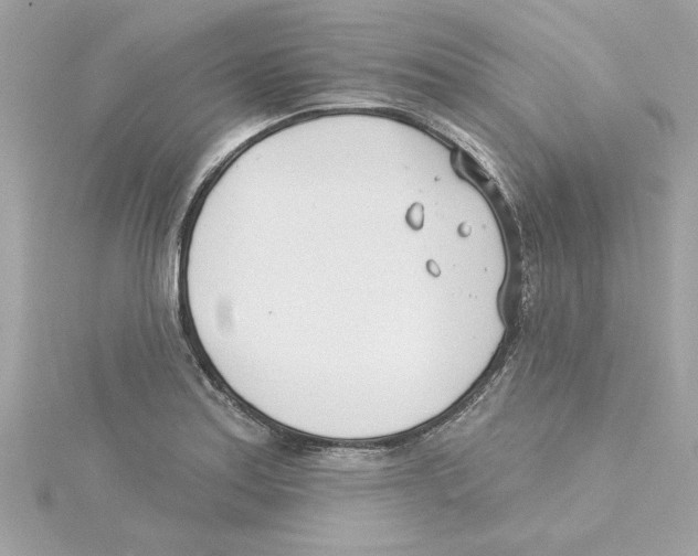 X0000115231179200911271816