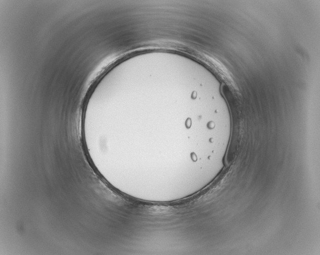 X0000115231180200911271816