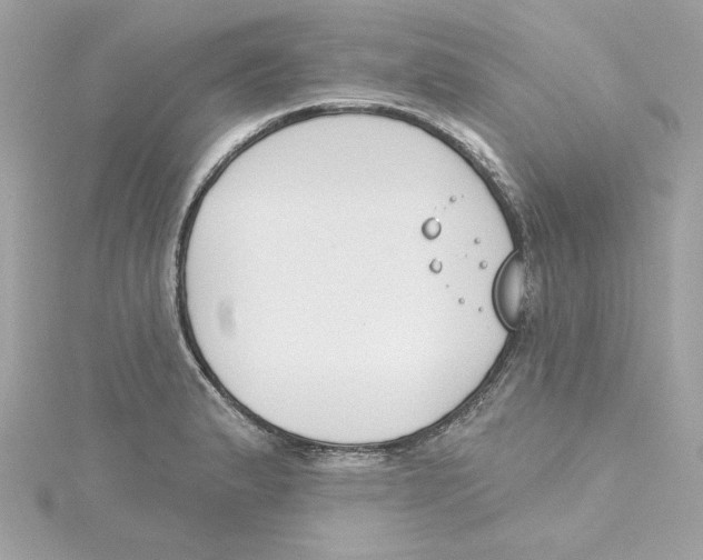 X0000115231183200911271816