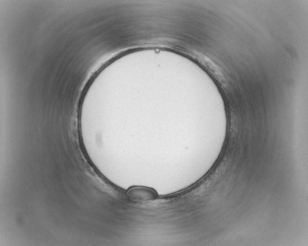 X0000115231184200911271816