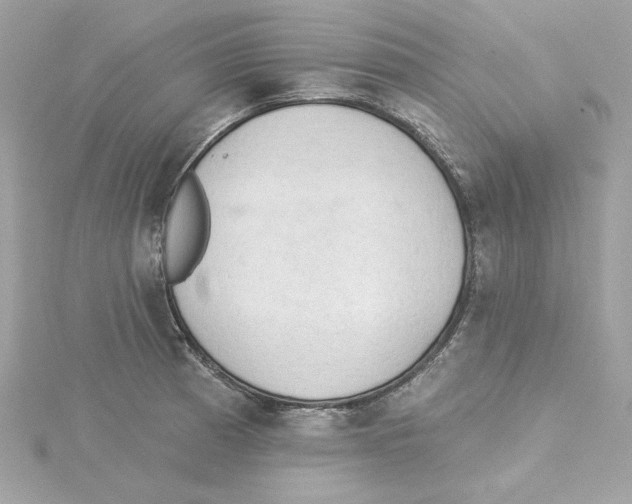 X0000115231185200911271816