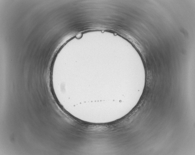 X0000115231187200911271816