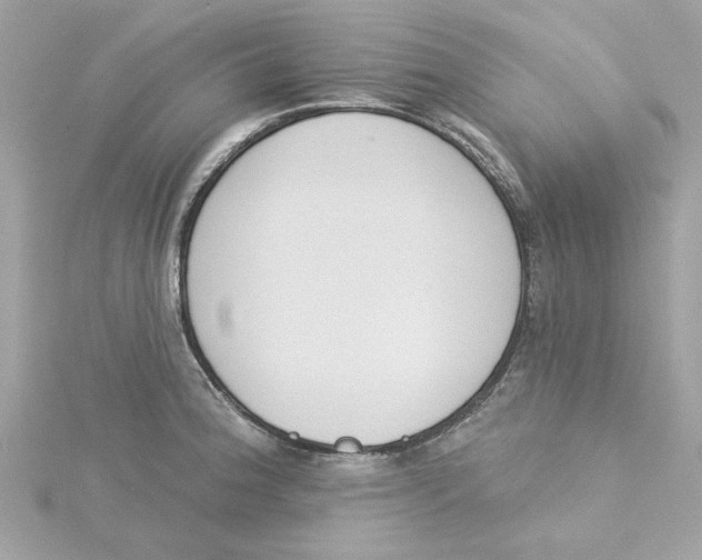 X0000115231188200911271816