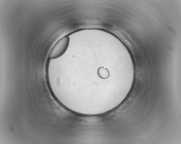 X0000115231189200911271816