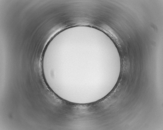 X0000115231190200911271816