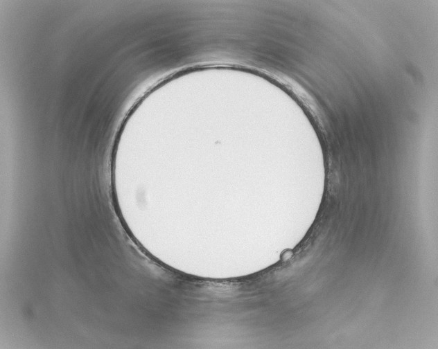 X0000115231191200911271816