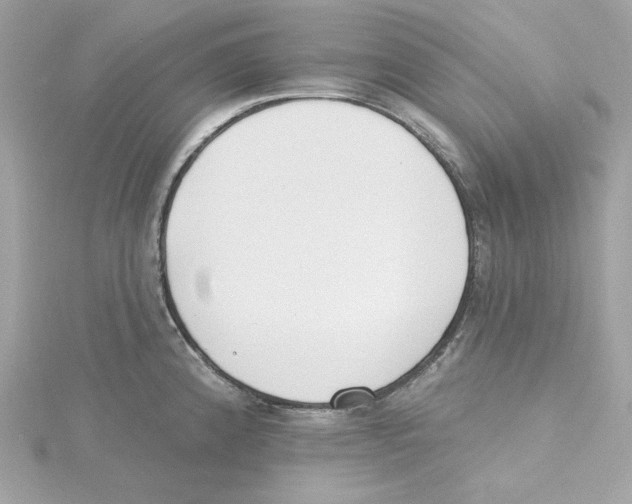 X0000115231192200911271816