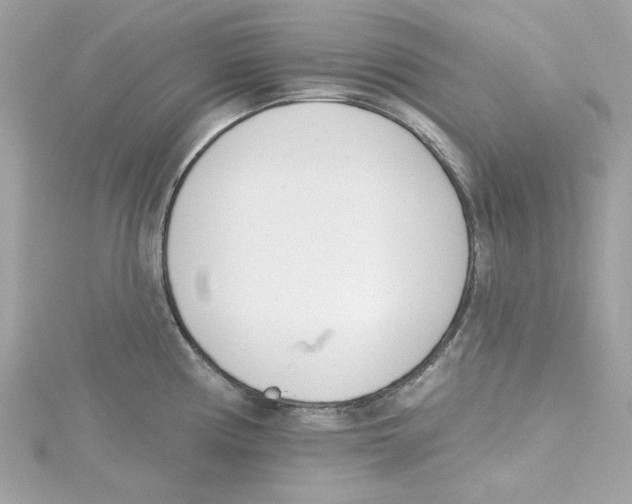 X0000115231194200911271816