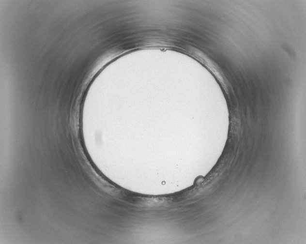 X0000115231195200911271816