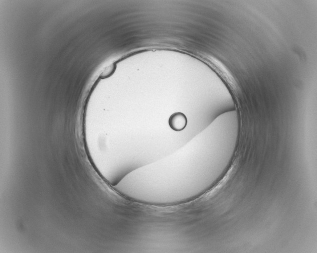 X0000115231196200911271816