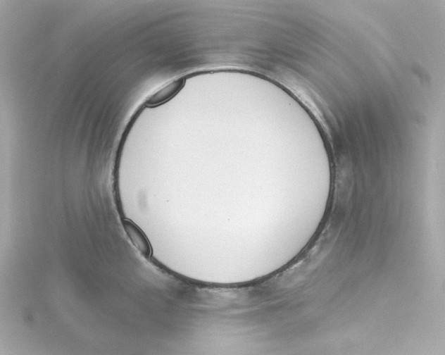 X0000115231197200911271816