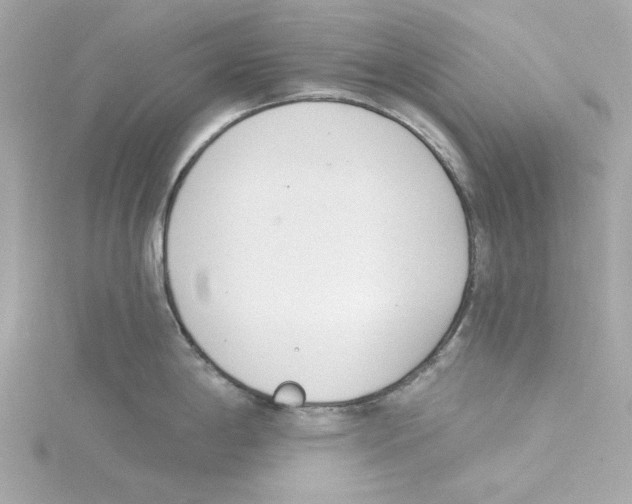 X0000115231198200911271816