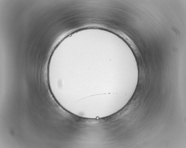 X0000115231199200911271816