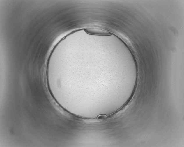 X0000115231200200911271816