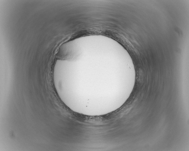 X0000115231201200911271815