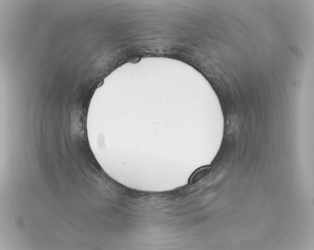 X0000115231202200911271815