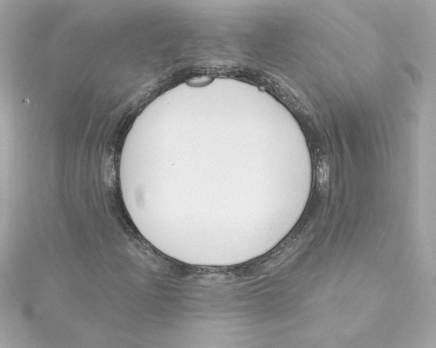 X0000115231204200911271815