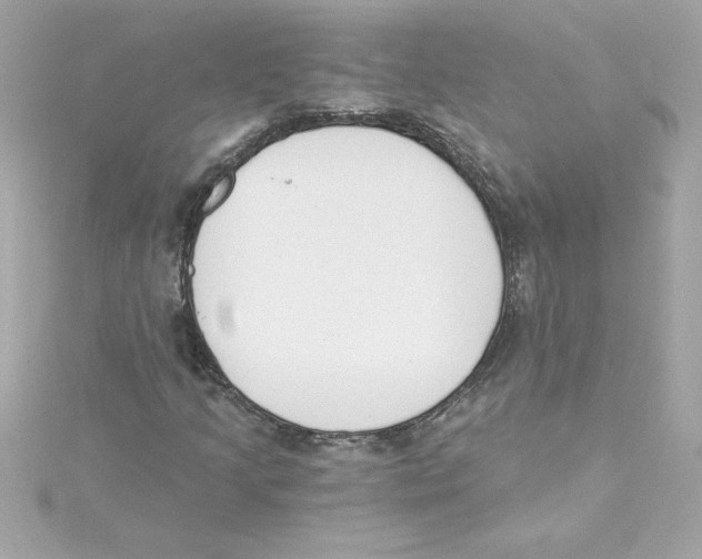 X0000115231205200911271815