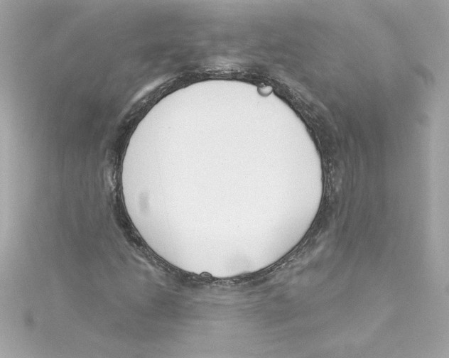 X0000115231206200911271815