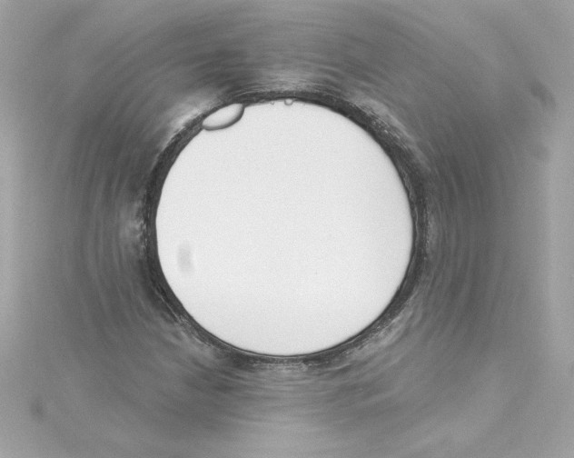 X0000115231210200911271815