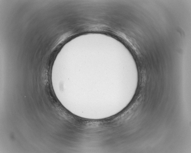 X0000115231211200911271815